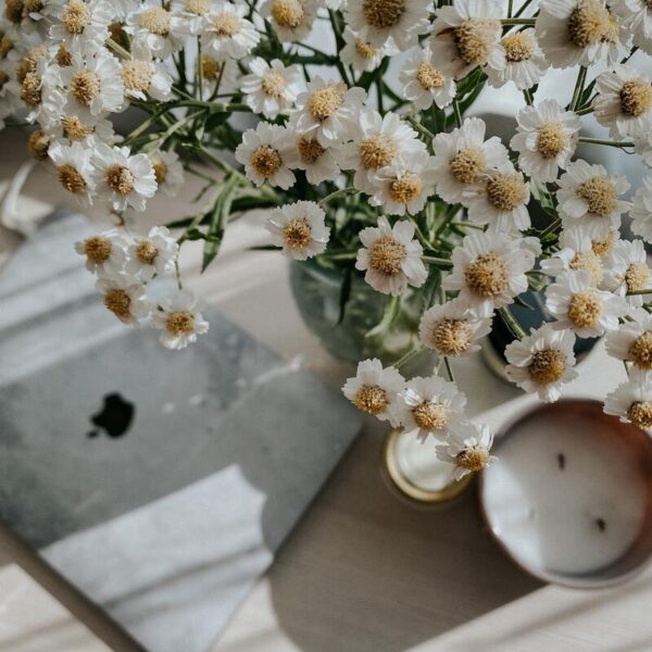 bài hát yêu thương bản thân